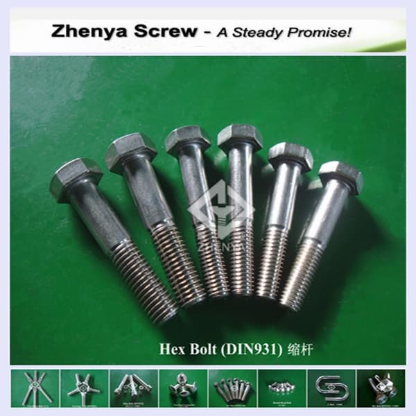 Stainless steel hex bolt